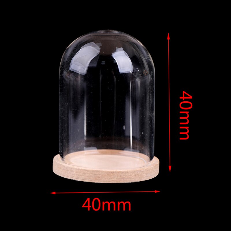 Vases de décoration en verre, présentoir de fleurs, Cloche, dôme, préservation immortelle + Base en bois, couvercle en verre de fleur éternelle: A
