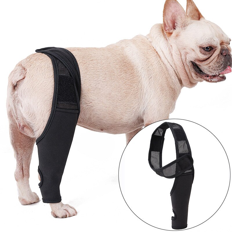 Huisdier Knie Pads Voor Achterpoten Letsel Herstellen Benen Protector Hond Kniebrace Verwondingen Been Brace Gezamenlijke Wrap Hond Verstelbare: Xs