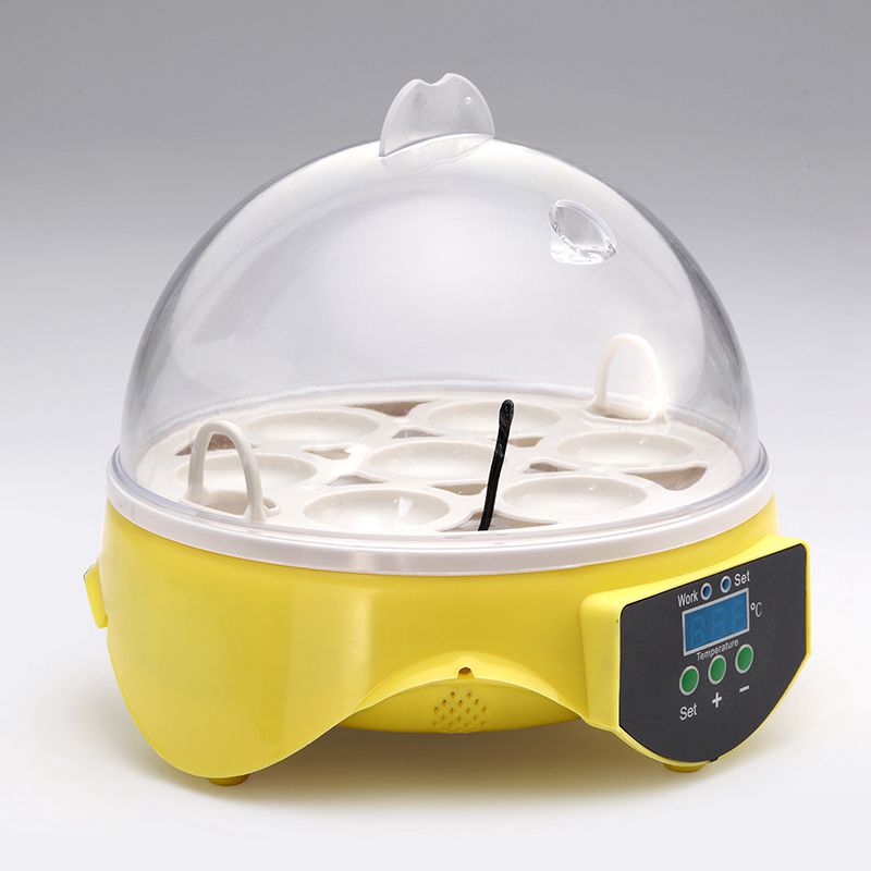 Brooder Miniature Mini 7 Egg Incubator Poultry Incubator Brooder Dig... – Grandado
