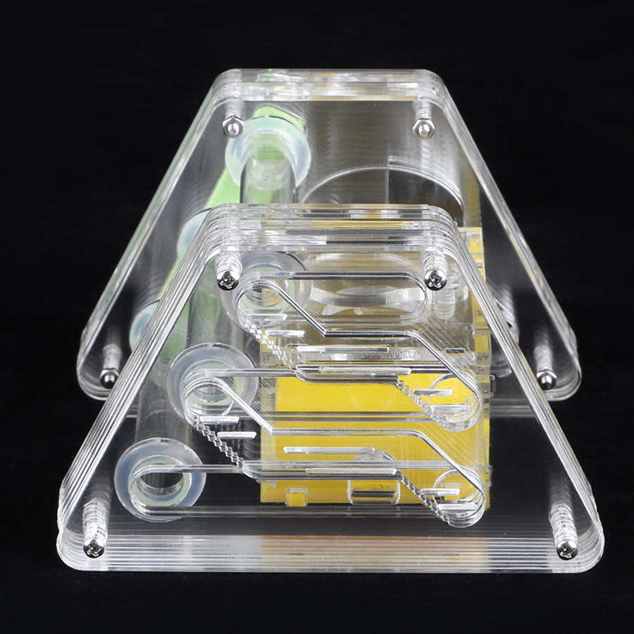 Ant Feeding Box Clear Acrylic Live Ant Ants Box Farm Insect Moisturizing Case Housing Home with Tweezers and Dropper