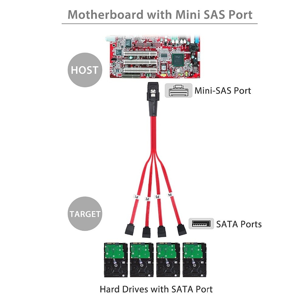 Mini SAS 8087 SFF-8087 naar 4 SATA Splitter Kabel Vooruit Breakout