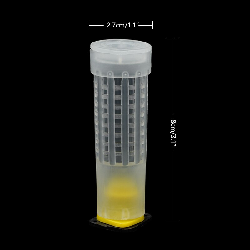Insect Rearing Cups 100 Sets Queen Bee Cages Beekeeping Queen Rearing ... – Grandado