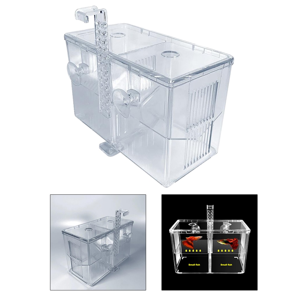 Large Fishes Tank Isolation Box Guppy Breeding Box Small Fishes Fry Isolation Net Acrylic Aquarium 30x20x20cm