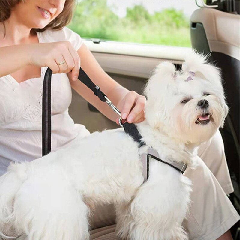 Leiband Voor Hond Elastische Hondenriem Reflecterende Hond Autogordel Hond Riemen Voor Grote Honden Outdoor Hond Auto Leash buffer