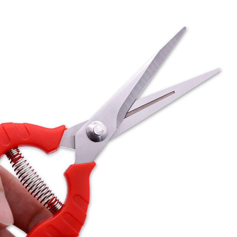 Pruning shrubs, tools, plants, gardening, potted plants, leaf pruning, pruning, gardening, fruit, flower beds, and hand tools su