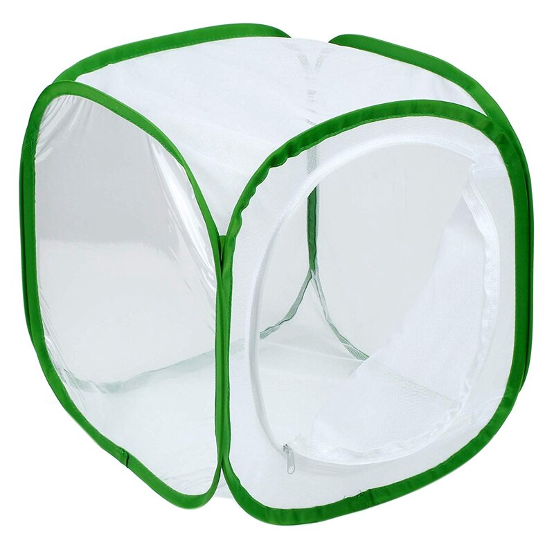 Insect and Butterfly Habitat Cage Terrarium -up 12 x 12 x 12 Inches (White + green): Default Title