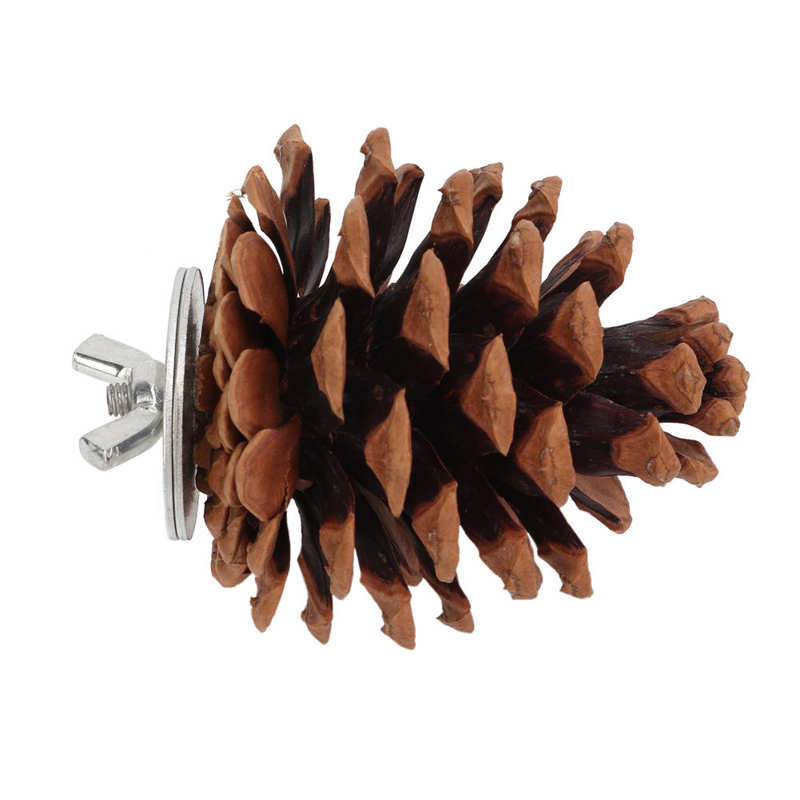 Bird Bite Pine Cones Bird Molar Pine Cone Toy Safe Nut Fix for Cockatiel for Finch