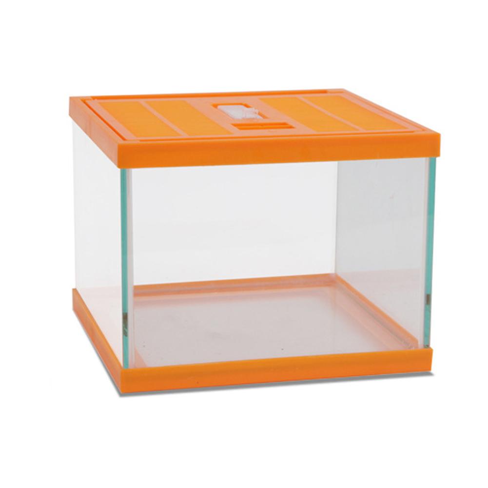 Reptile Glass Terrarium Amphibians Feeding Box Transparent Pet Spider Gecko Horn Lizard Insect Frog Climbing Case