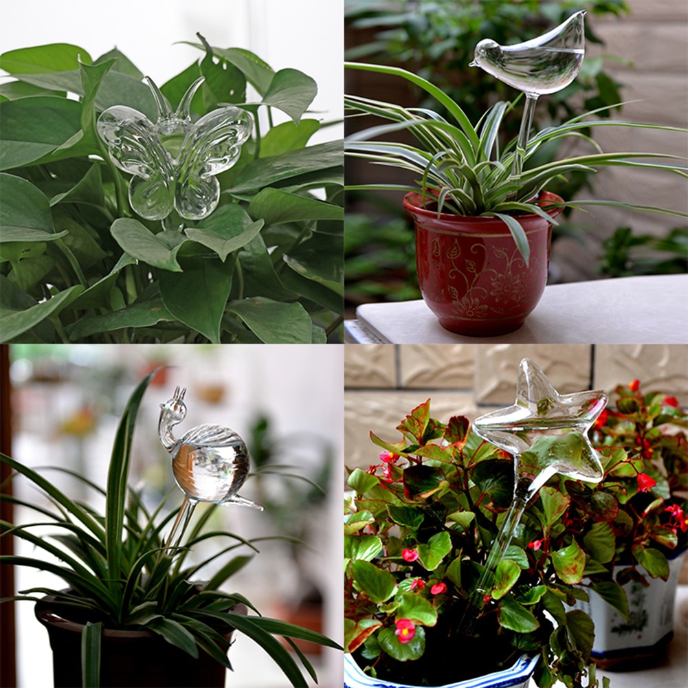 Sød fugl snegl stjerne sommerfugl glas plante blomster vander selvvandende enhed