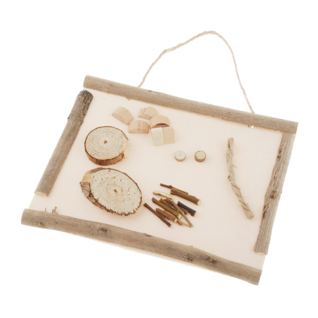 Natural Funny DIY Kit For Decorative Handcrafts Crafts Home Decorations