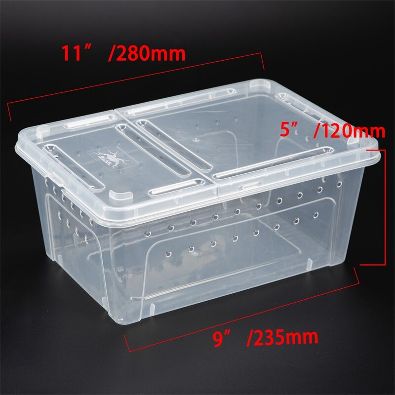 Large Terrarium Reptile Feeding Box with Bowl Lizard Spider Habitat Cage Hatching Container Clear Portable Plastic Pet House: M