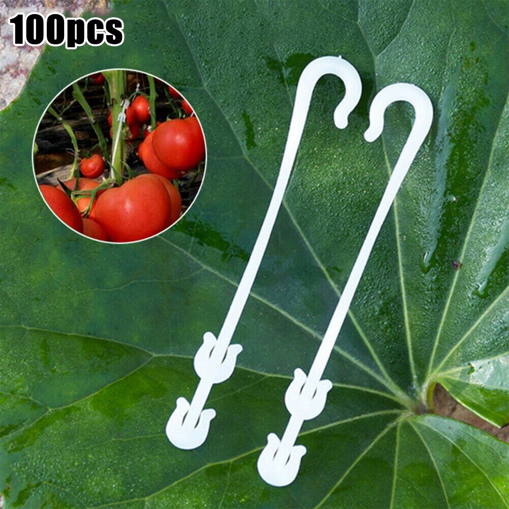 100Pcs J Vormige Fruit Cherry Tomaat Oorhaak Tuin Bloem Groente Plant Ondersteuning Tomaat Clips Trellis Voor Tuin Plant bloem