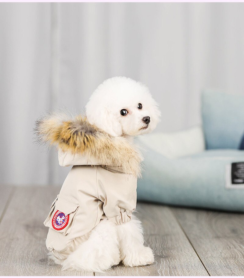 Pet Dog Warm Winter Coat Chihuahua Pug Dog Clothes For Small Medium Dogs Schnauzer Pet Puppy Coat Down Jacket Clothing: white / M