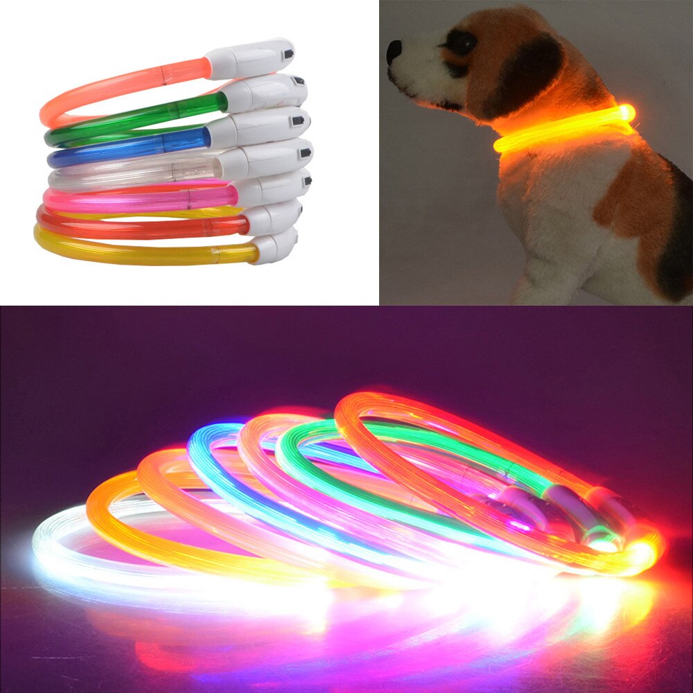 Rechargeable Usb Waterproof Pet Dog Collar Mascotas Perros Accesorios Collier Chien Ledlight Band Safety Pet Dog Collar
