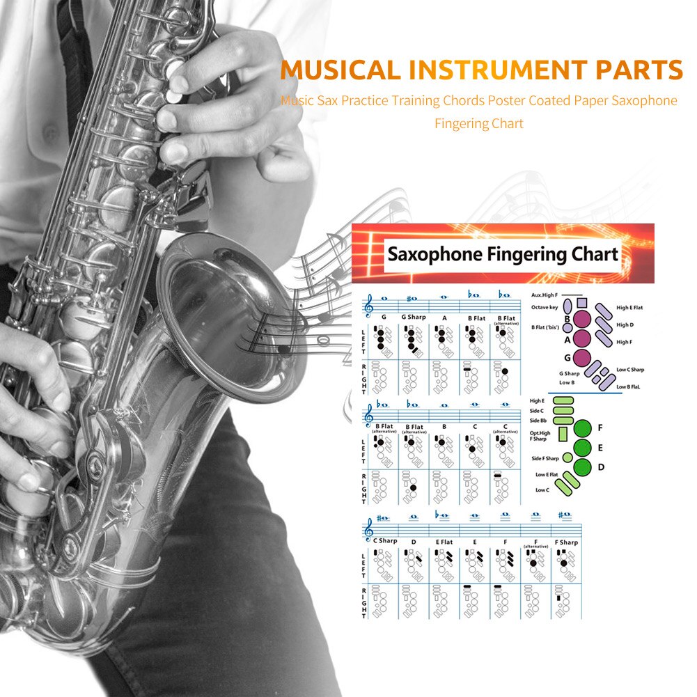 Saxofoon Praktijk Training Vingerzetting Grafiek Gecoat Papier Muziekinstrument Deel Vingerzetting Akkoord Grafiek Educatief Decor