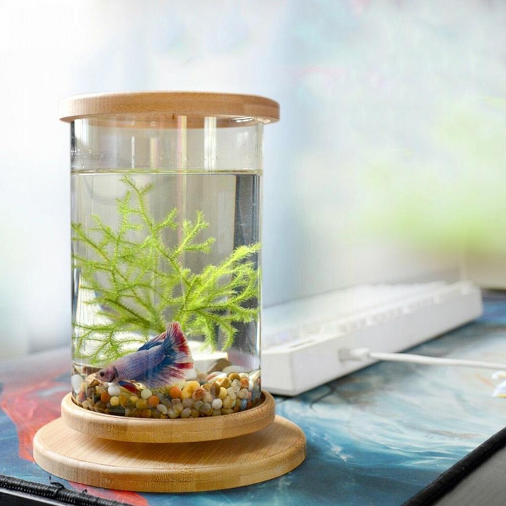 Small Office Glass Aquarium Bamboo Base Mini Fish Bowl Fish Decoration L0c3