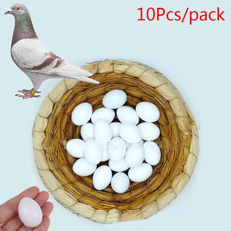 10 pièces faux oeufs en plastique Pigeon oeuf solide Pigeon faux oeuf Pigeon à couver fournitures 2.5cm x 3.5cm