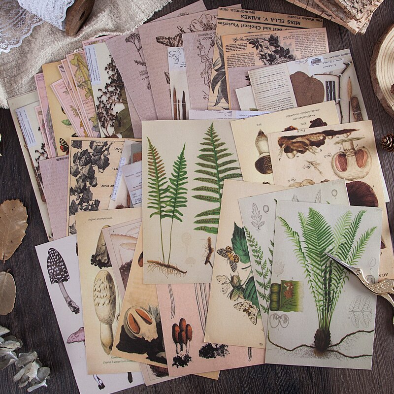 10 stücke Wald pflanzen pilz Material Papier Müll Tagebuch Planer Scrapbooking Jahrgang Dekorative DIY Handwerk Hintergrund Papier