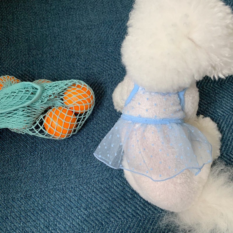 Hond Prinses Jurk Hond Kleding Voor Kleine Honden Puppy Zomerkleding Kant Roze Rose Hond Trouwjurk Chihuahua Pug Hond Rok: XL / GRIJS