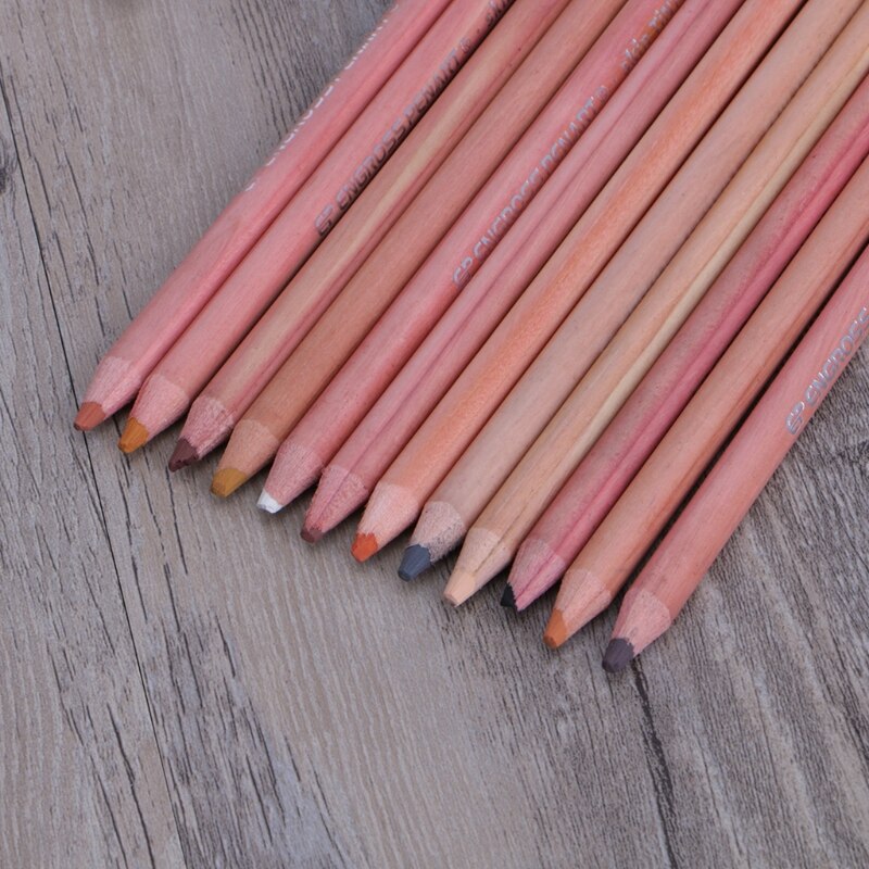 12Pcs Professionele Zachte Pastel Potloden Hout Huid Tint Pastel Kleurpotlood