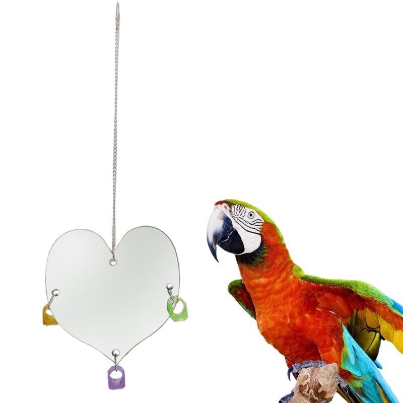Pack de 3 columpios para loros y pollos, soporte de jaula para pájaros, percha, un lado, espejo con pájaro, juguetes con anillos para morder
