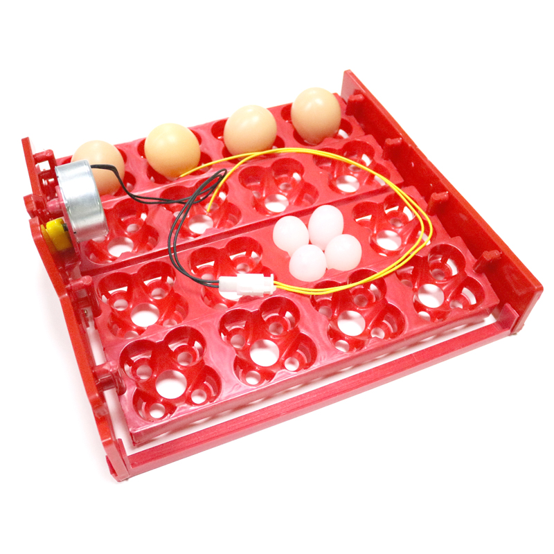 Incubadora automática de huevos de gallina, 16 huevos/64 pájaros, palomas y otras aves, equipo de incubación con Motor