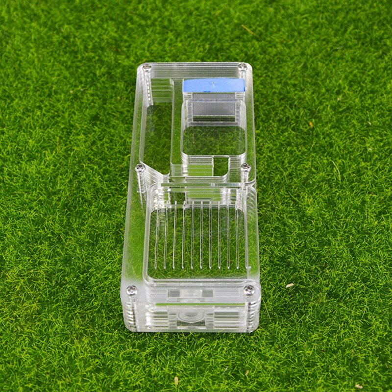 Cute Moisturizing Flat Ant Nest Acrylic Luxury Ant Farm Small Colony Ant Breeding Box