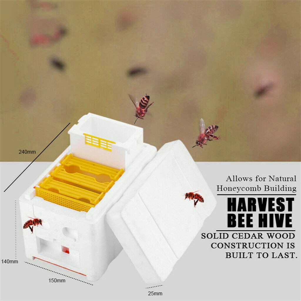 Caja colmena cosechadora polinización de colmena apicultura para apareamiento de abejas aislamiento térmico función antiescape