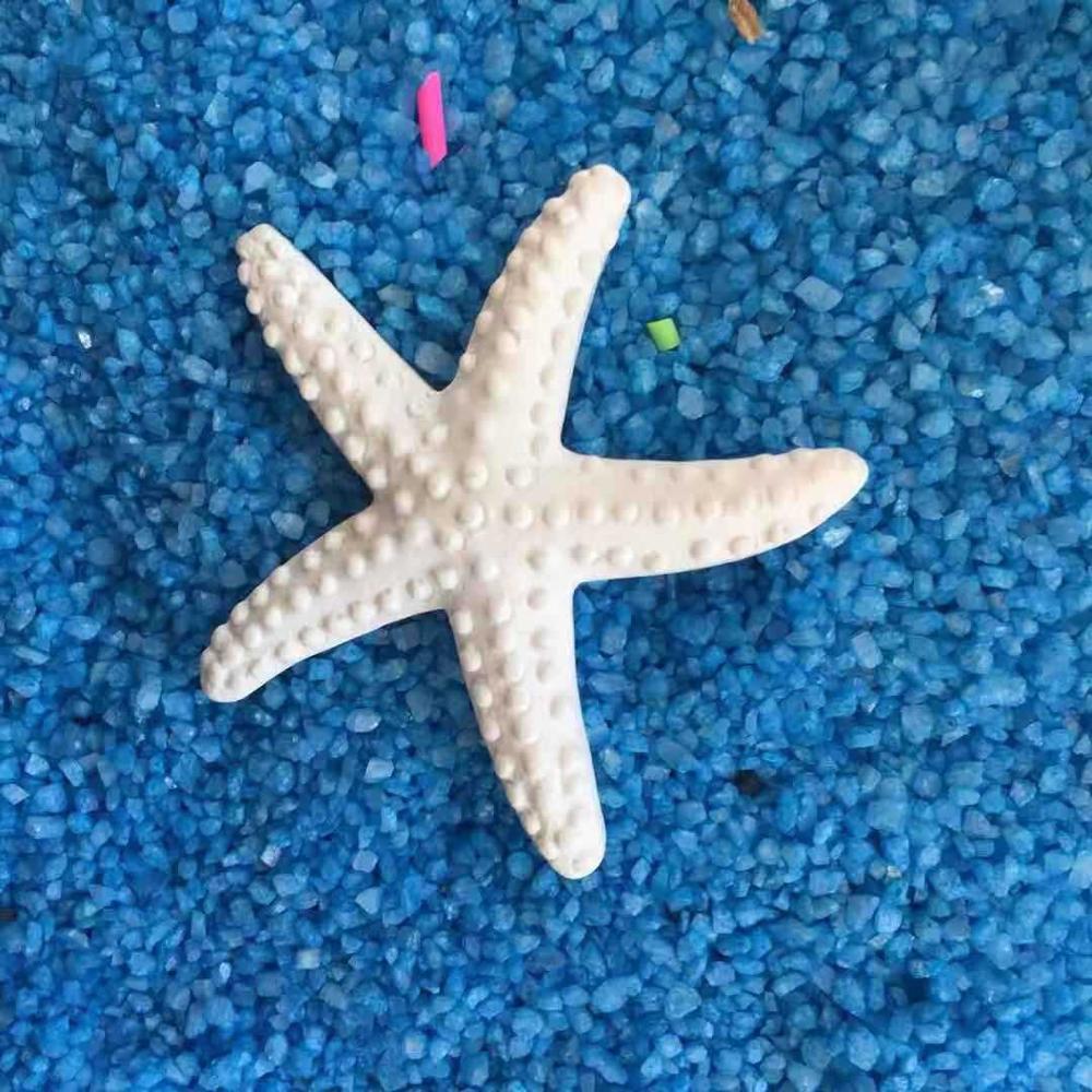 Décor de plage en résine artificielle | Ornement de plage en plastique , Simulation du littoral de l'étoile, bricolage artisanal pour enfants, décoration de chambre à coucher