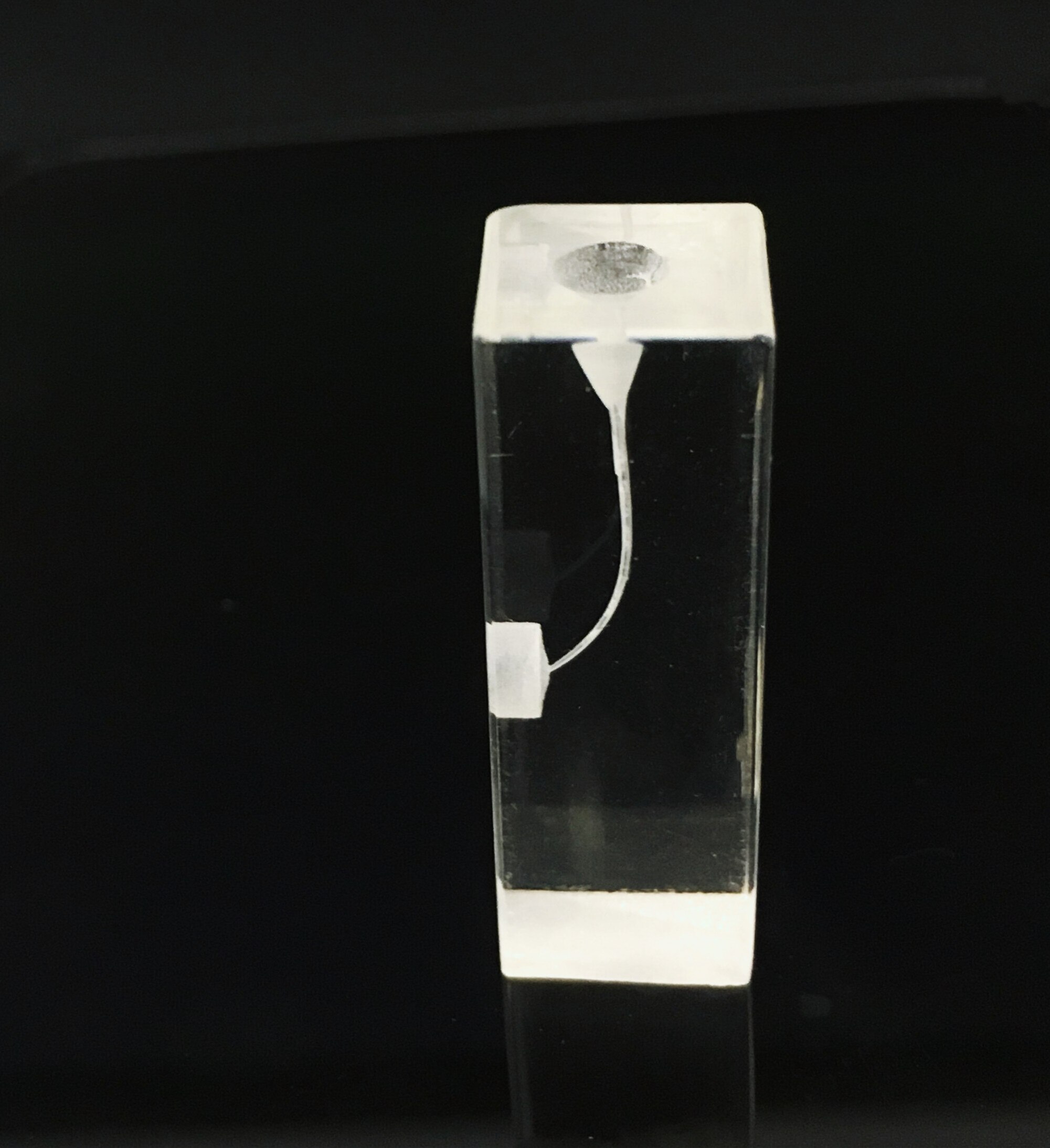 10pcs/Lot Dental 1:1 Resin Practice Tool Tooth Endo File Training Blocks