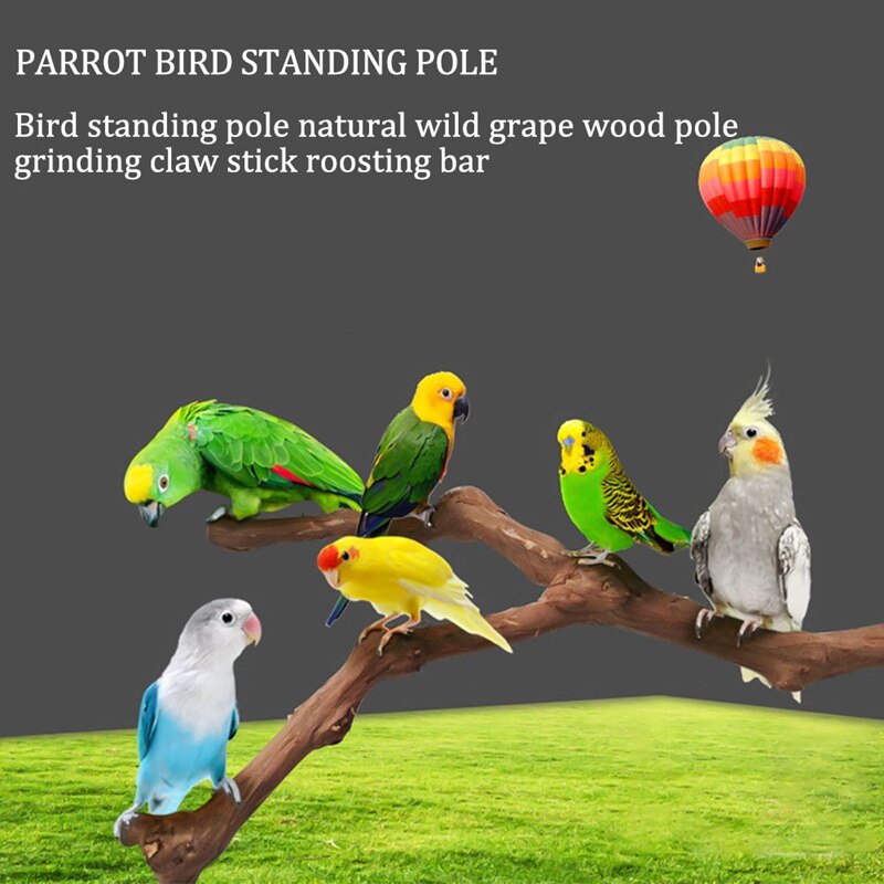 Palo de pie para loros y mascotas, palo de madera de uva salvaje, perchas para periquito, mordedura, garra, juguete de molienda, jaula de pájaros, accesorios, gancho de joyería