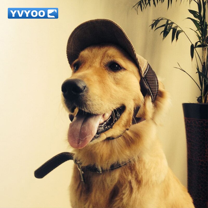 Yvyoo stilig hund keps baseballkeps fritidsresor solskyddshatt manchester ventilerande mesh justerbar 2 färg  a09