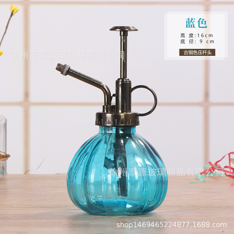 Regadera Retro para plantas, botella de vidrio, rociador de agua para riego de flores, suministros de riego de jardinería, 200ML: blue round