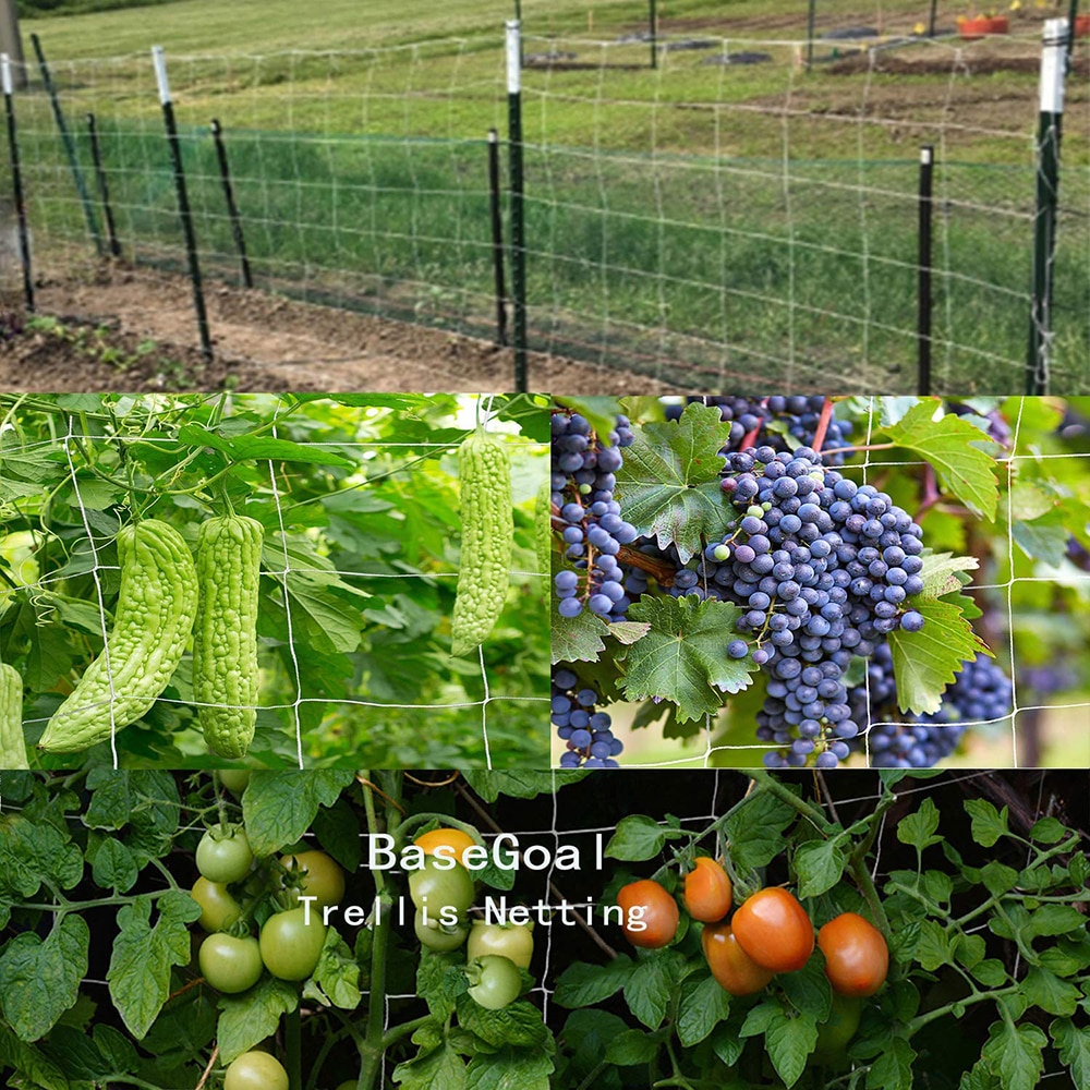 Flor de jardín, enrejado de vid de poliéster, soporte de red, rojo para plantas trepadoras, aterrizaje, pepino, marco de cultivo, malla, tejido de verduras