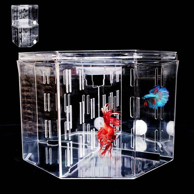 Betta-caja de aislamiento acrílica para acuario, decoración de oficina para acuario Ornamental