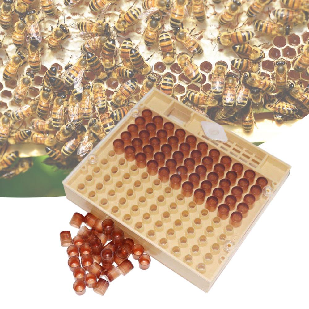 131pcs Beekeeping Tool Set Bee Cultivation Cage Beekeeping Incubator Cell Plastic Bee Cups Kit Queen Bee Rearing Set