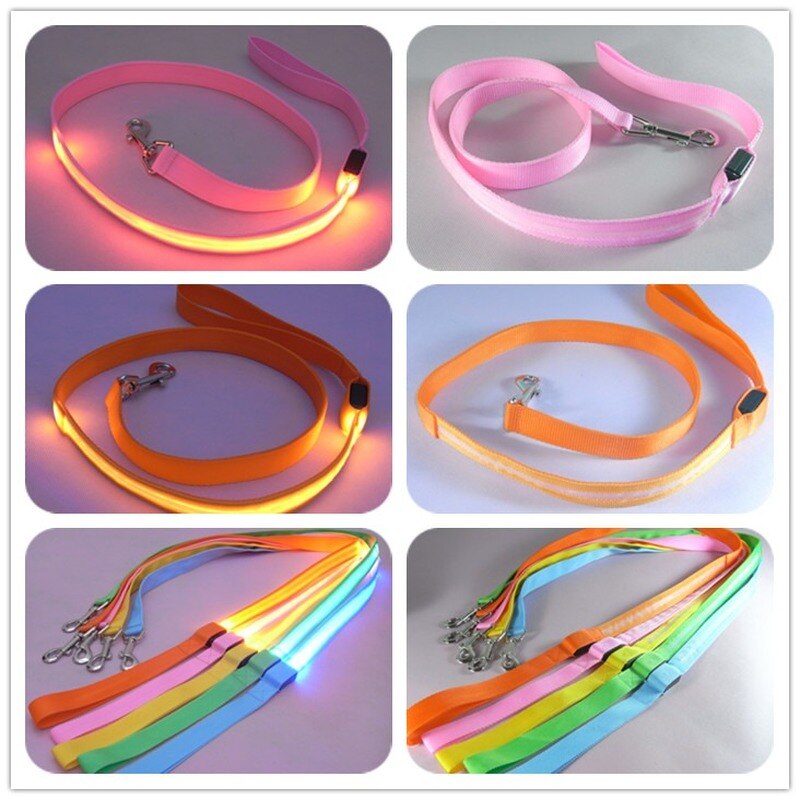 Laisse en Nylon pour chien, sécurité nocturne, LED clignotante dans la nuit, collier pour animaux de compagnie, dessin pour chat, petit gabarit