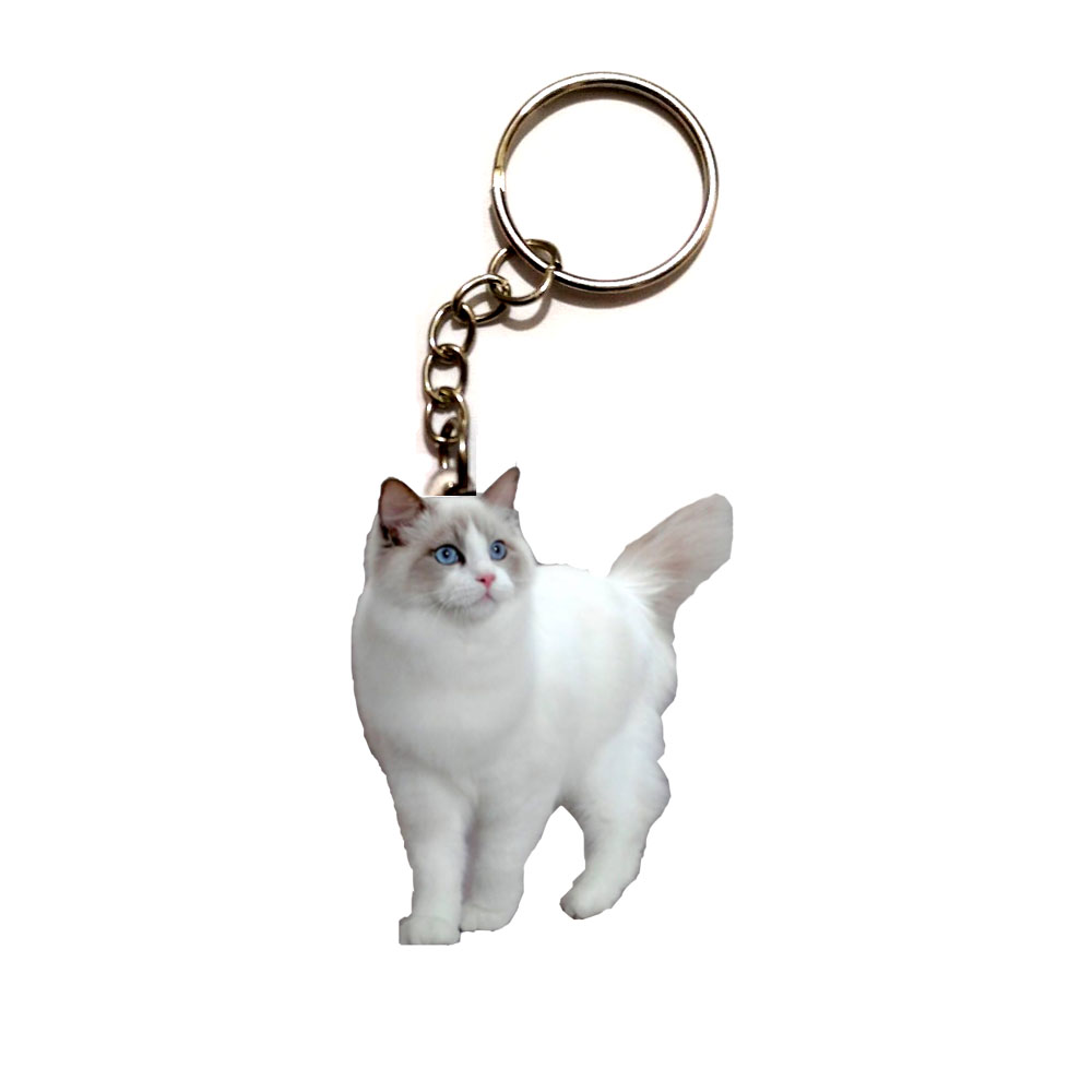 Cute Waschbär Acryl Keychain Fliegen Flügel Hunde stahl Schlüsselring Anhänger Besten Freund Schlüssel Kette Zubehör Schlüsselanhänger Männer Spielzeug