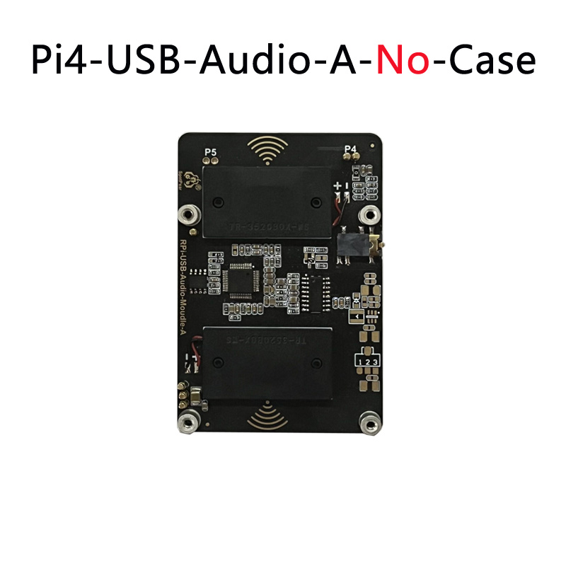 Raspberry Pi 5, USB-Audio-Soundkarte, Modulhut mit Kopfhöreranschluss, Summer-Lautsprecher-Option für Pi 4B: Bündel 8