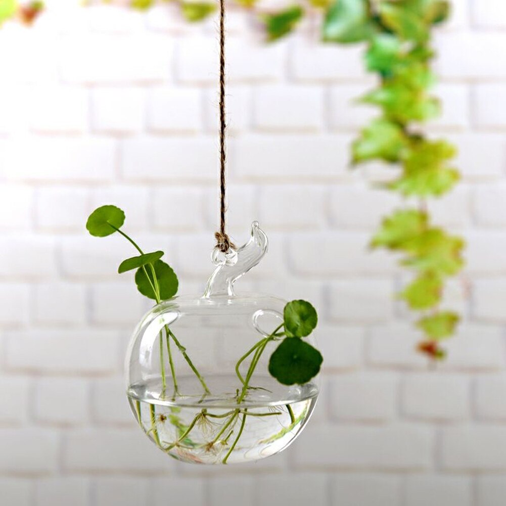 Wall Hanging Light Bulb Glass Vase Flower Plant Terrarium Container Home Decor: Apple shape