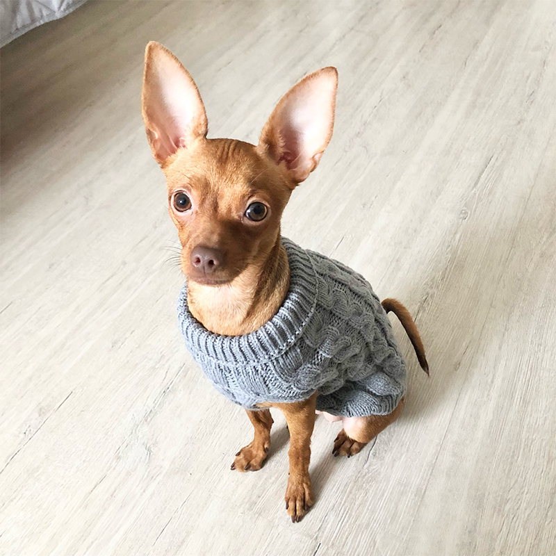 Gebreide kleding voor honden Chihuahua trui voor kleine honden Winterkleding voor Sphinx Kat Hondentrui voor York Warme hondenkleding