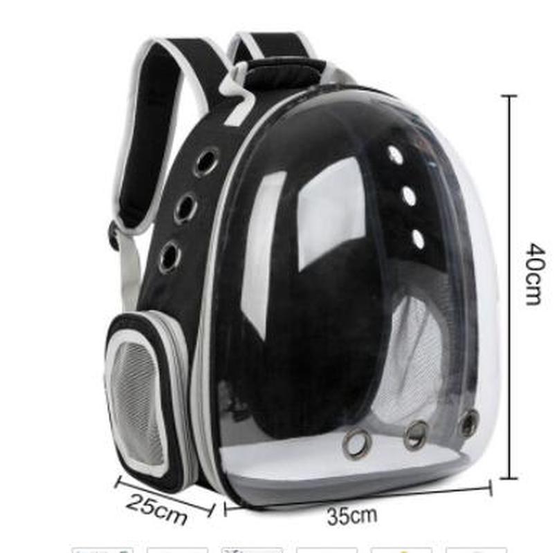 Sac à dos Portable respirant pour chat et chien, Transparent, pour voyage en plein air, pour animaux de compagnie, WJ829: Black