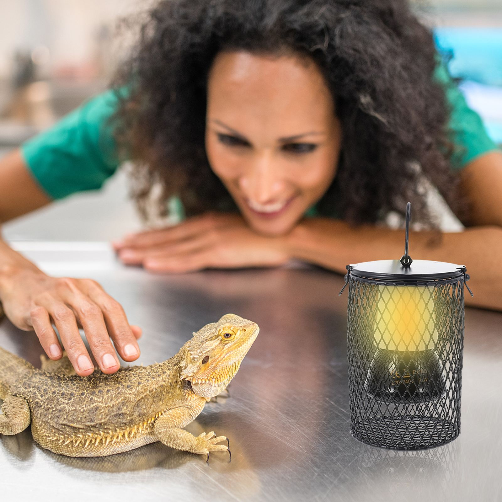 Reptile lizard snake chameleon dragon rabbit hamster cat dog bird parrot anti-scald ceramic heating lamp set pet heating lamp