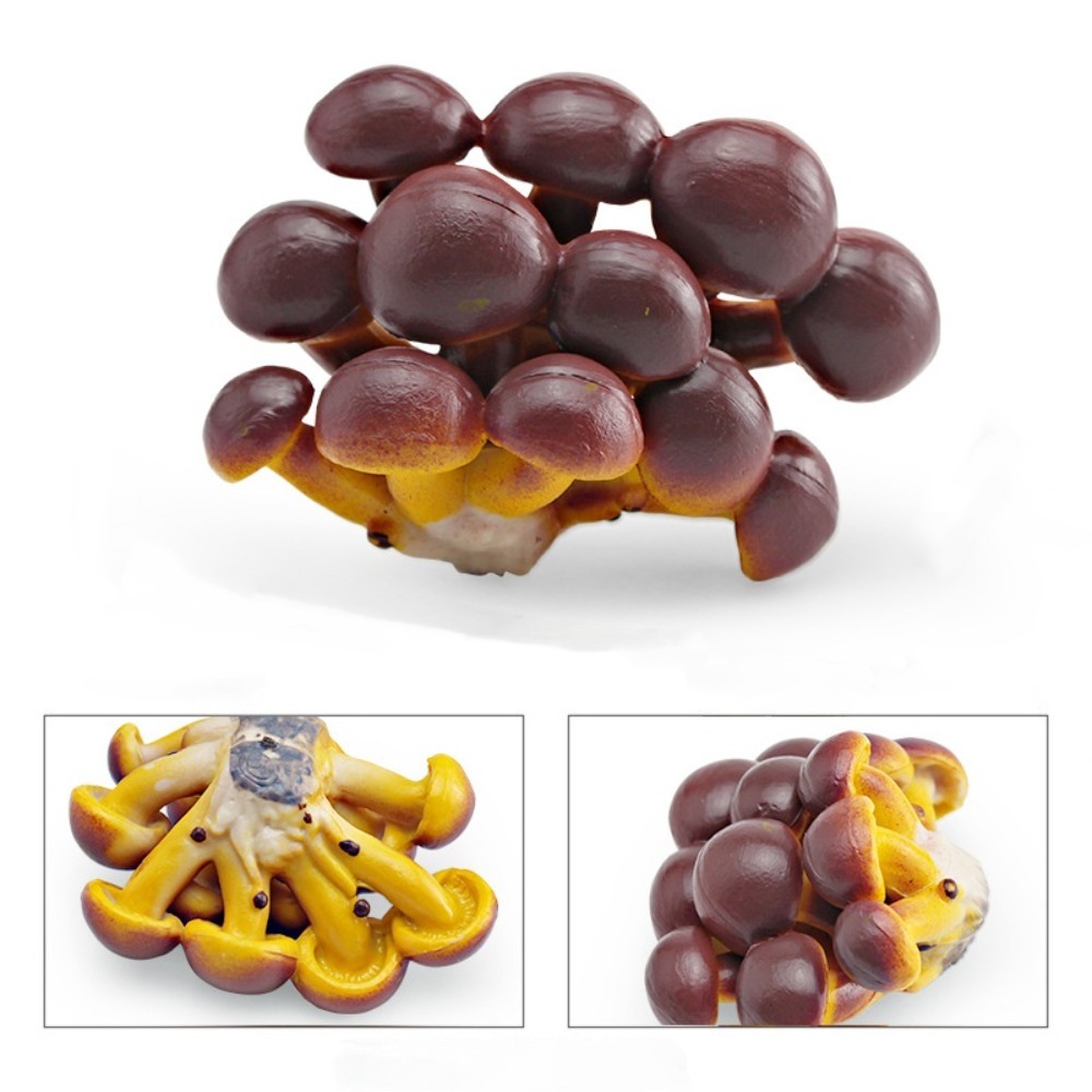 Modelo de vegetais estatuetas de fungos matsutake oyste simulação artificial cogumelo pleurotus planta modelo de fungo decoração de jardim: Cáqui escuro