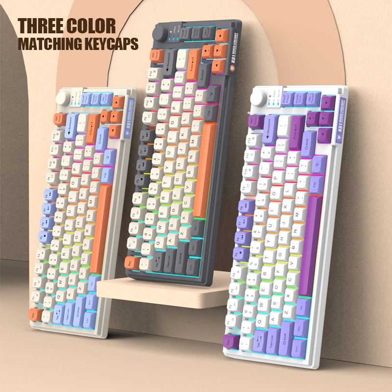 Tastatur K81 Spielen-Tastatur 81 Tasten 80 % Layout Spanisch Russisch Koreanisch Arabisch Tastatur USB-Kabel RGB-Licht Lautstärkeregler Ergonomie