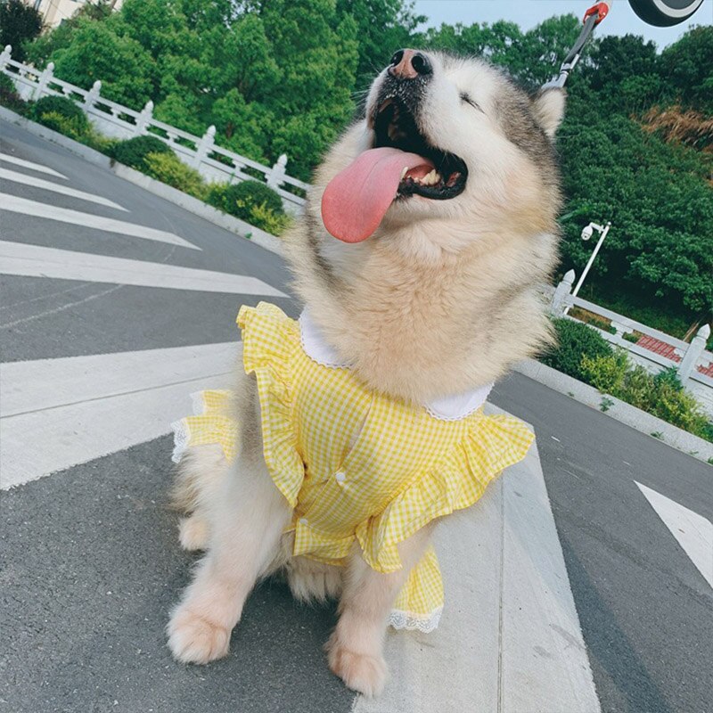 Spring Summer Dog Dress Puppy Pet Clothes for Medium Large Dogs Costume Labrador Golden Retriver Large Dog Dresses Disfraz Perro