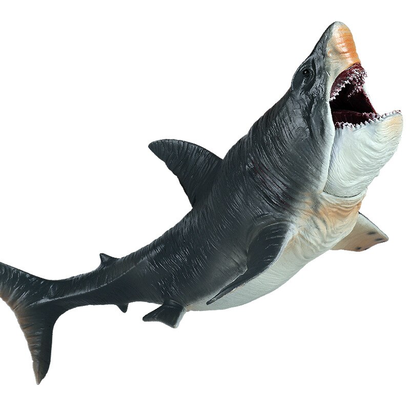 Simulation Hai Modell freundlicher Große Marine Ebene Spielzeug Realistische Biologische Megalodon Meer Quaddel freundlicher Pädagogisches Spielzeug: Ursprünglich Titel