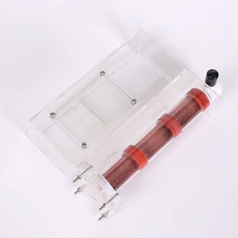 Koeputki kosteus iso tila muurahaispesä, muurahaisfarmi akryyli, hyönteismuurahaiset huvila talon muurahaiset ekologinen työpaja: Bambupesällä