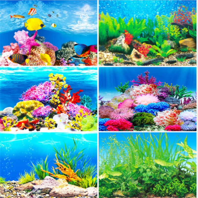 Fish tank background paper painting HD picture 3d stereo wallpaper background painting double-sided aquarium decoration sticker
