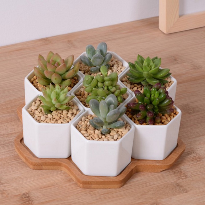 Set Van 4/7/9/10 Hexagon Bloempotten Witte Keramische Vetplant Pot Met Bamboe Stand Home Office Kerst Jaar Decoratie